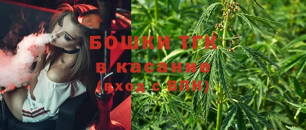 прущие грибы Алексин