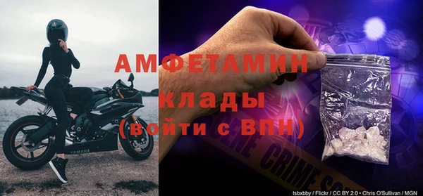 прущие грибы Алексин