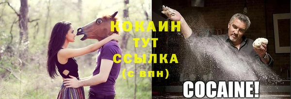 соль ск Абдулино