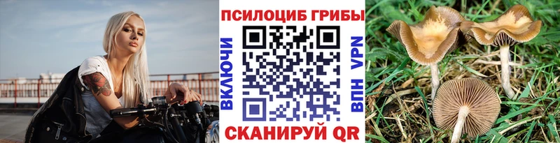 Псилоцибиновые грибы GOLDEN TEACHER закладка Звенигород