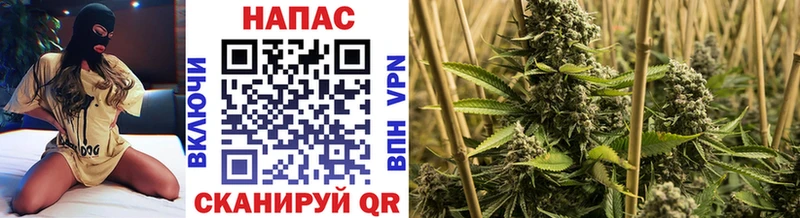 Шишки марихуана Ganja Звенигород
